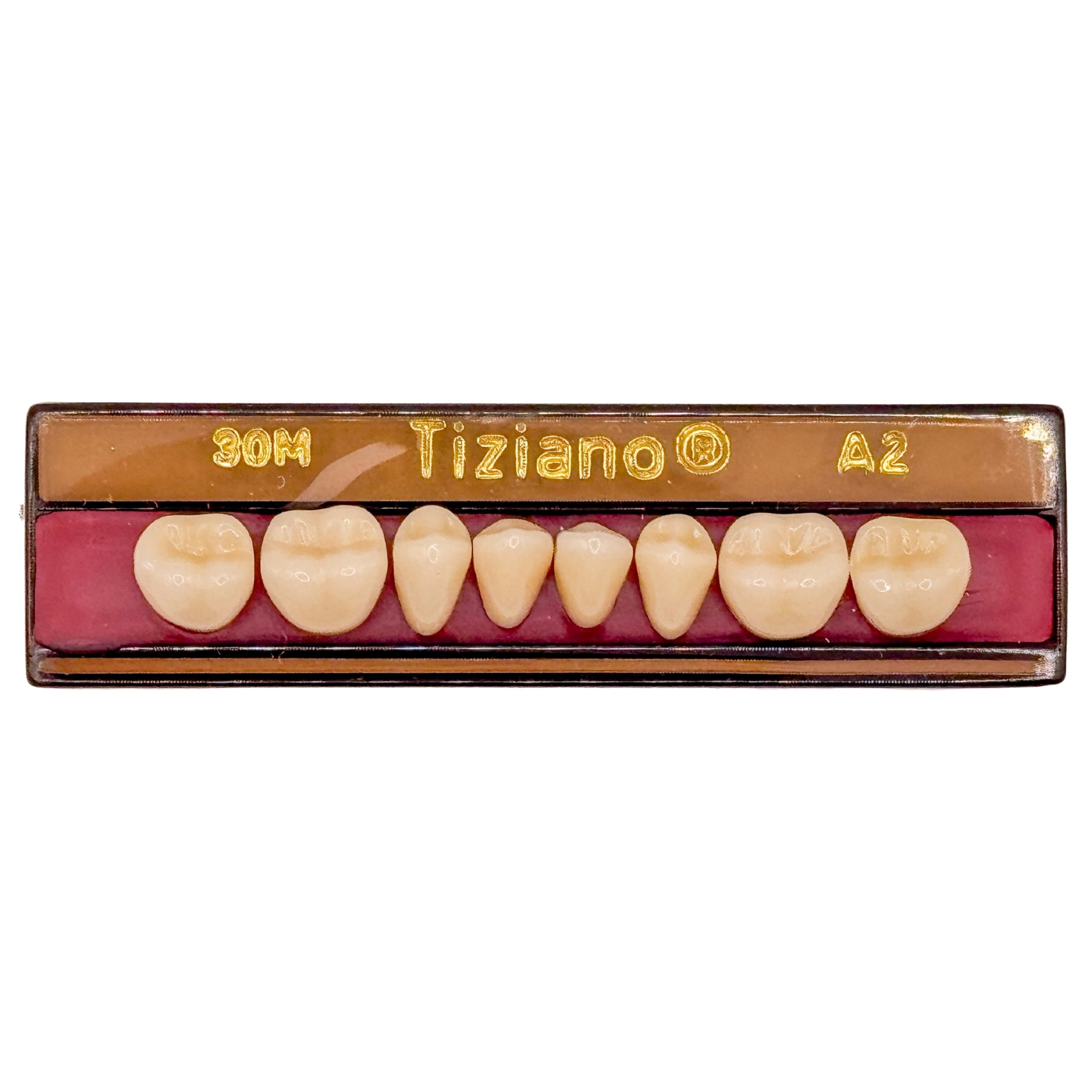 Dientes tiziano x 8 ip 30M col A2