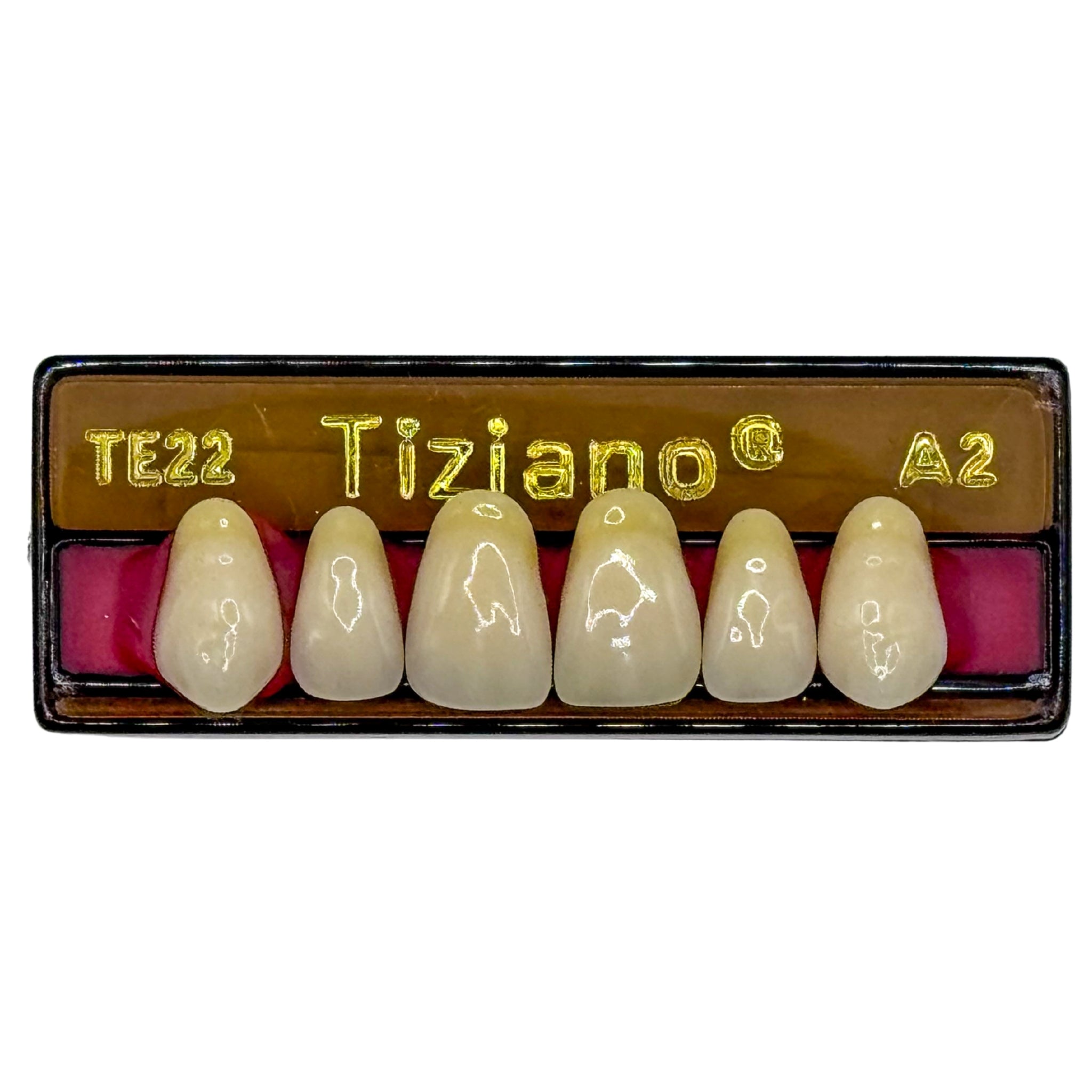 Dientes tiziano x 6 sa TE22 col A2