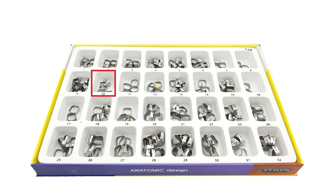 Banda anatomica 1 molar Borgatta Upper