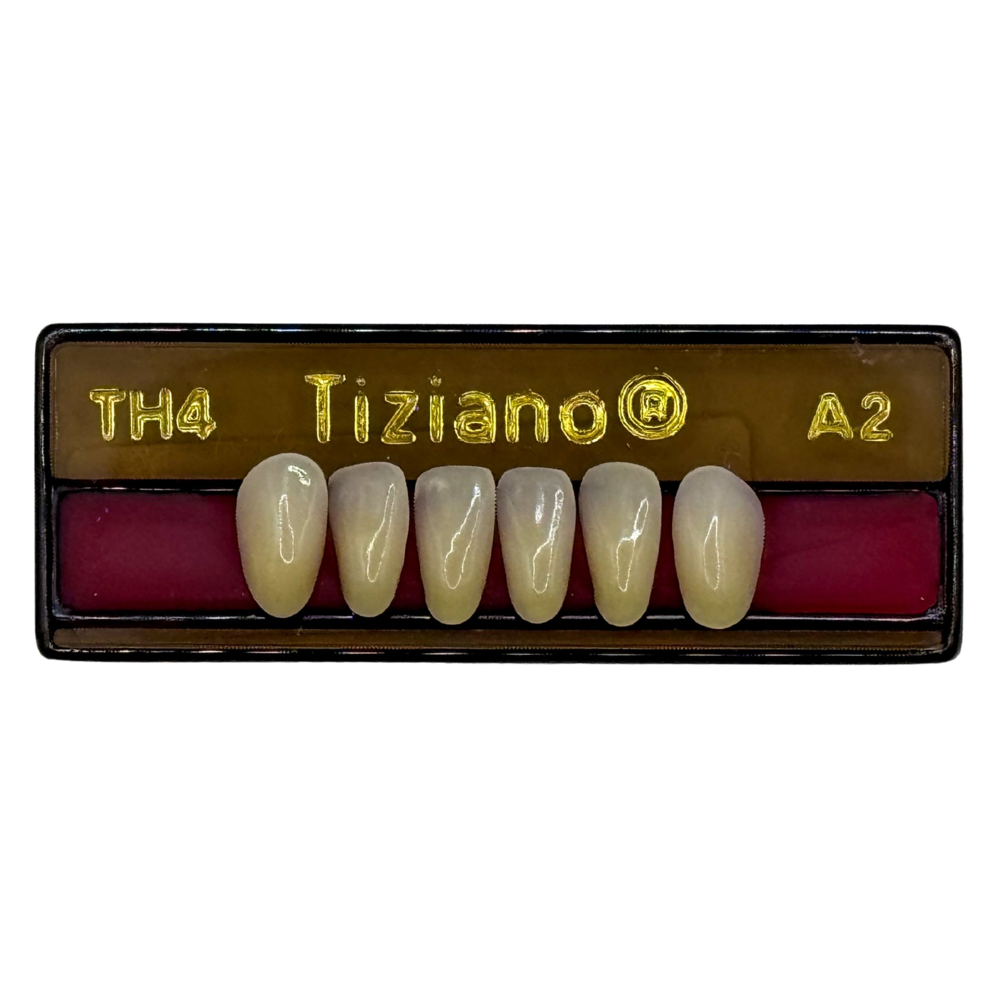 Dientes tiziano x 6 ia TH4 col A2