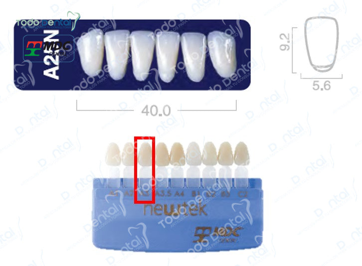 Diente new tek anterior inferior