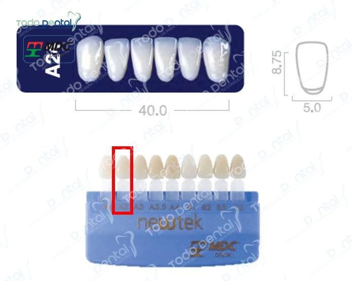 Diente new tek anterior inferior