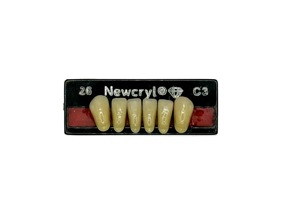 Dientes newcryl inferior anterior