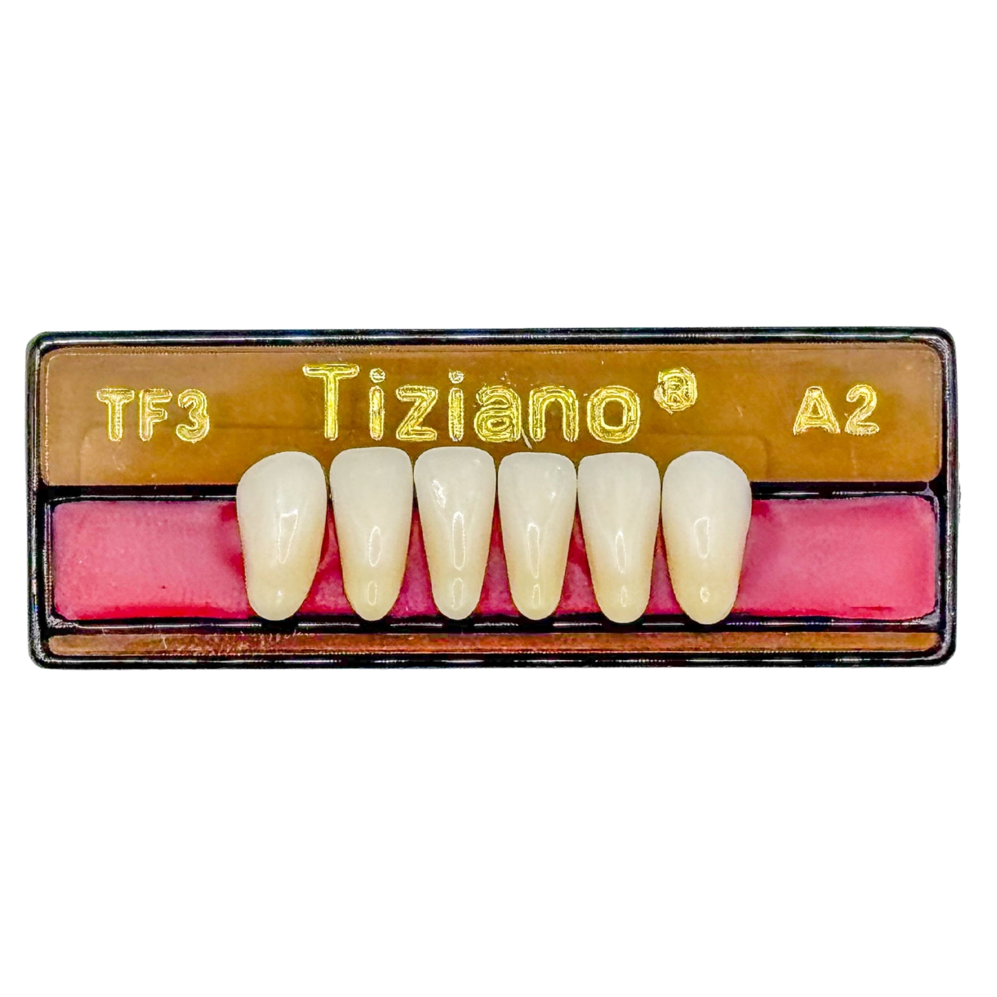 Dientes tiziano x 6 ia TF3 col A2