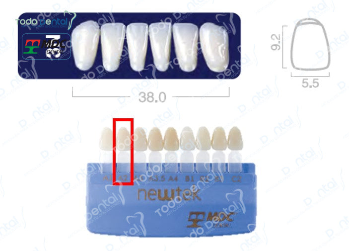 Diente new tek anterior inferior