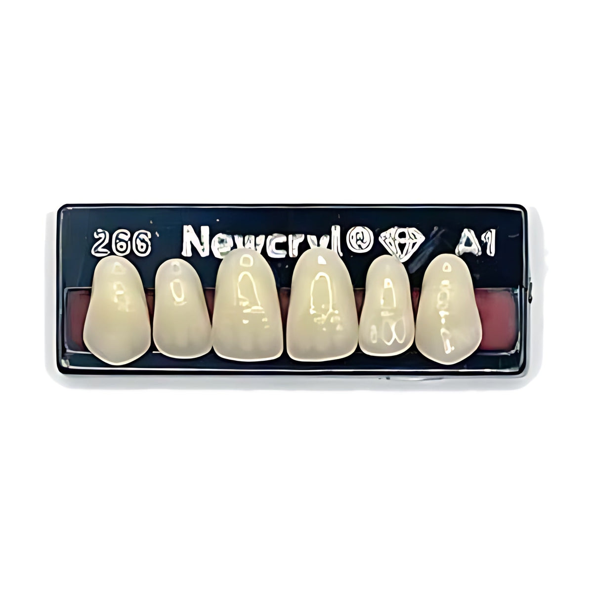 Dientes newcryl superior anterior moldes grandes