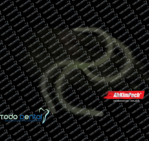 Modulo Ahkimpech S