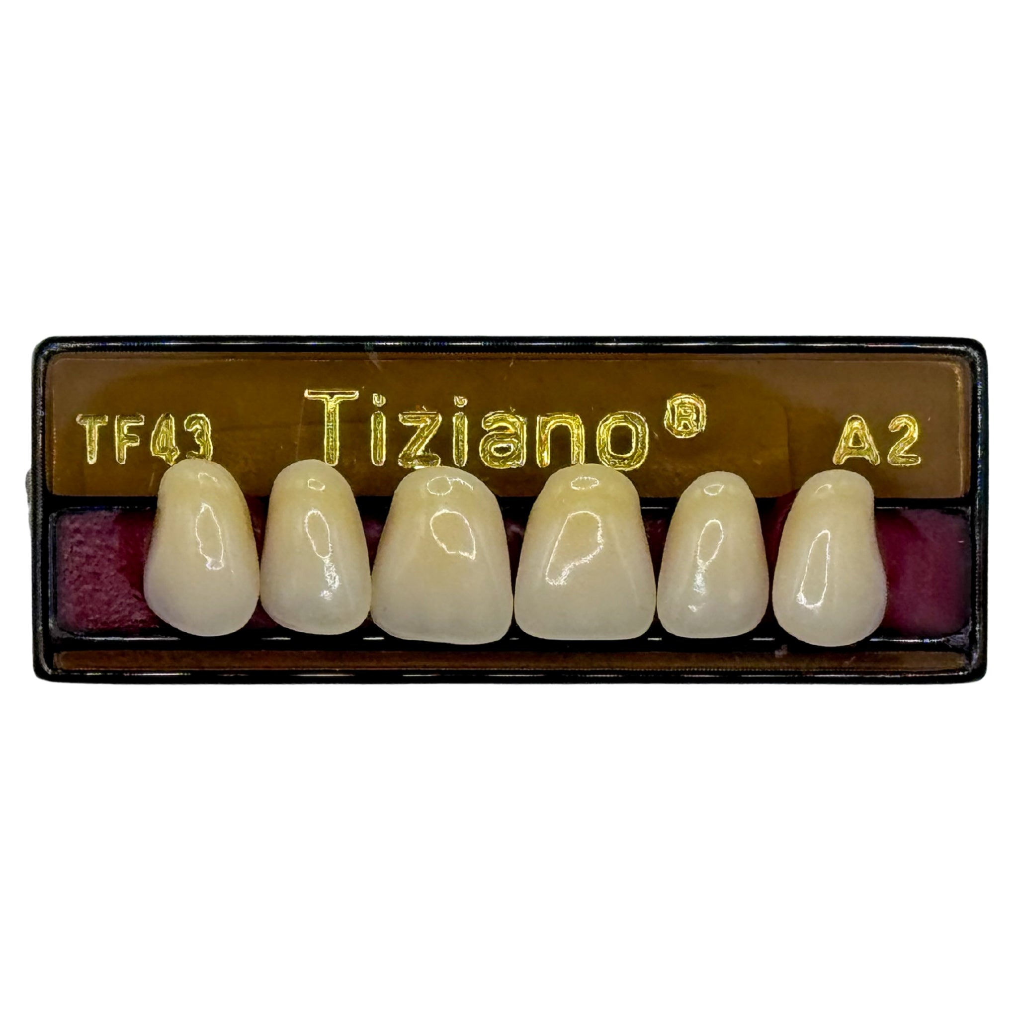 Dientes tiziano x 6 sa TF43 col A2