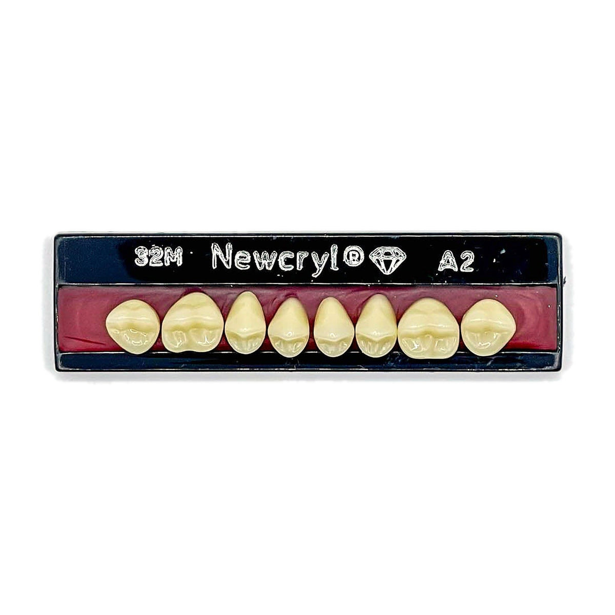 Dientes newcryl superior posterior