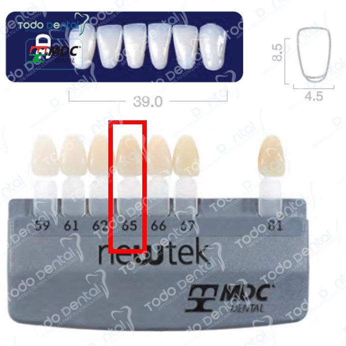 Diente new tek anterior inferior