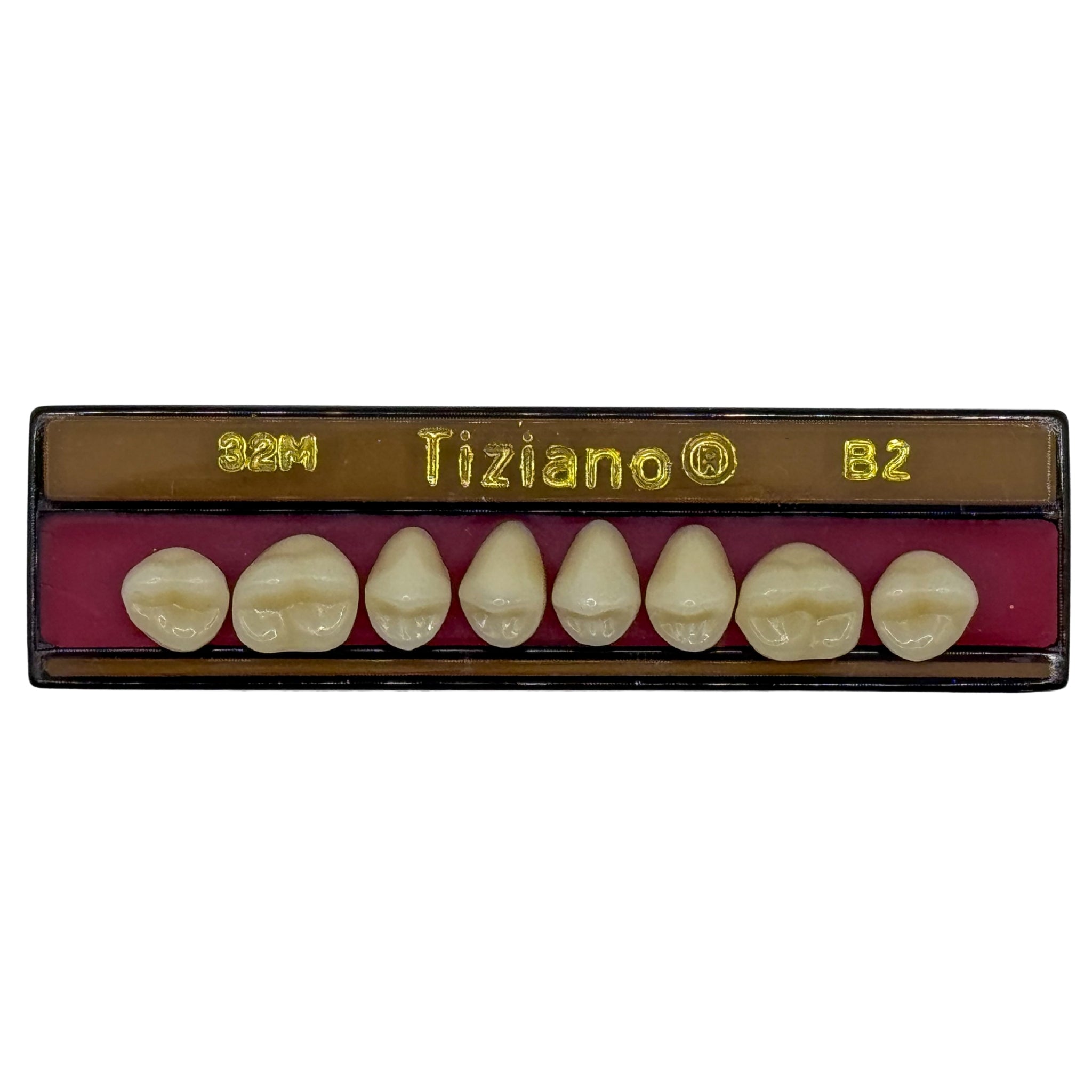 Dientes tiziano x 8 sp 32M col B2