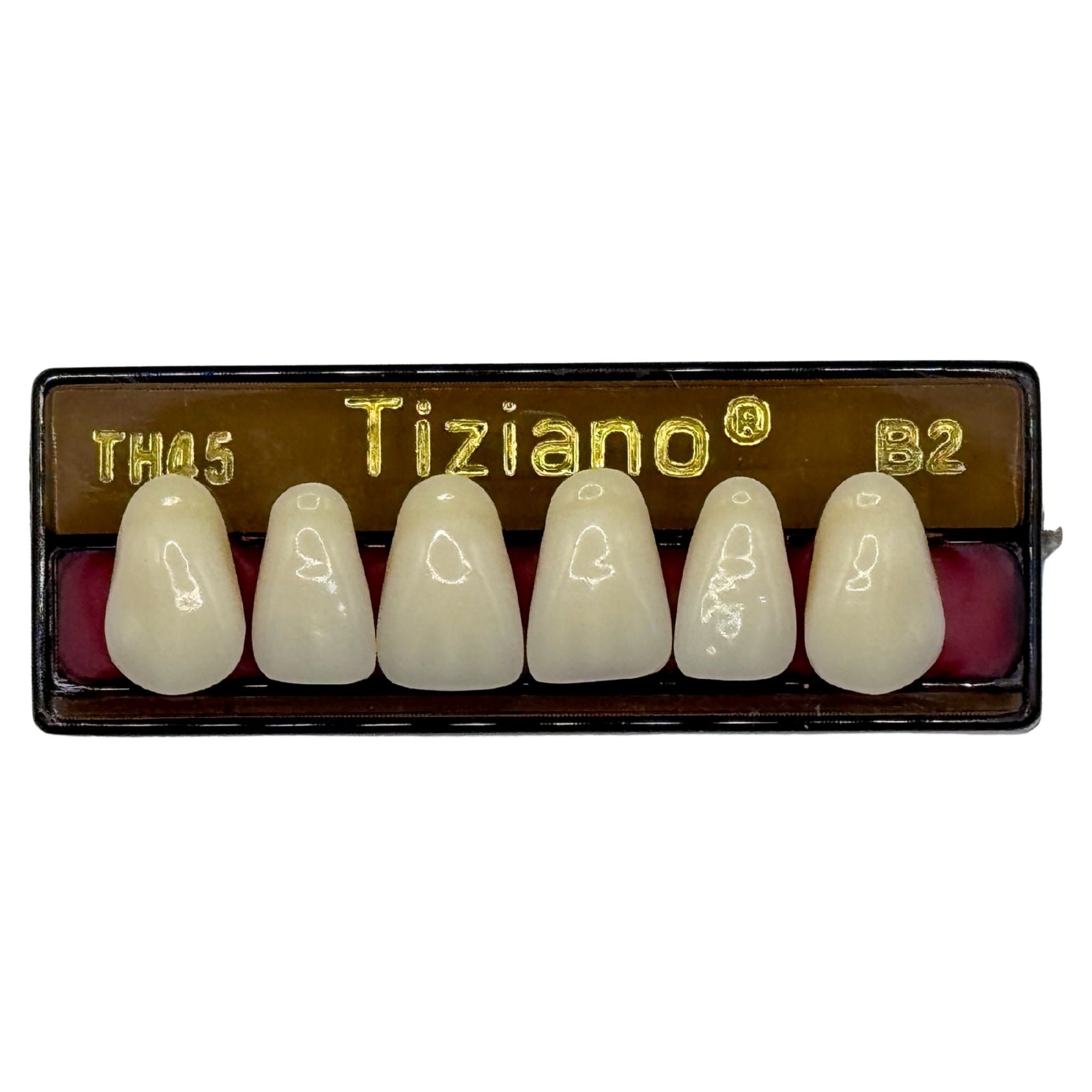Dientes tiziano x 6 sa TH45 col B2