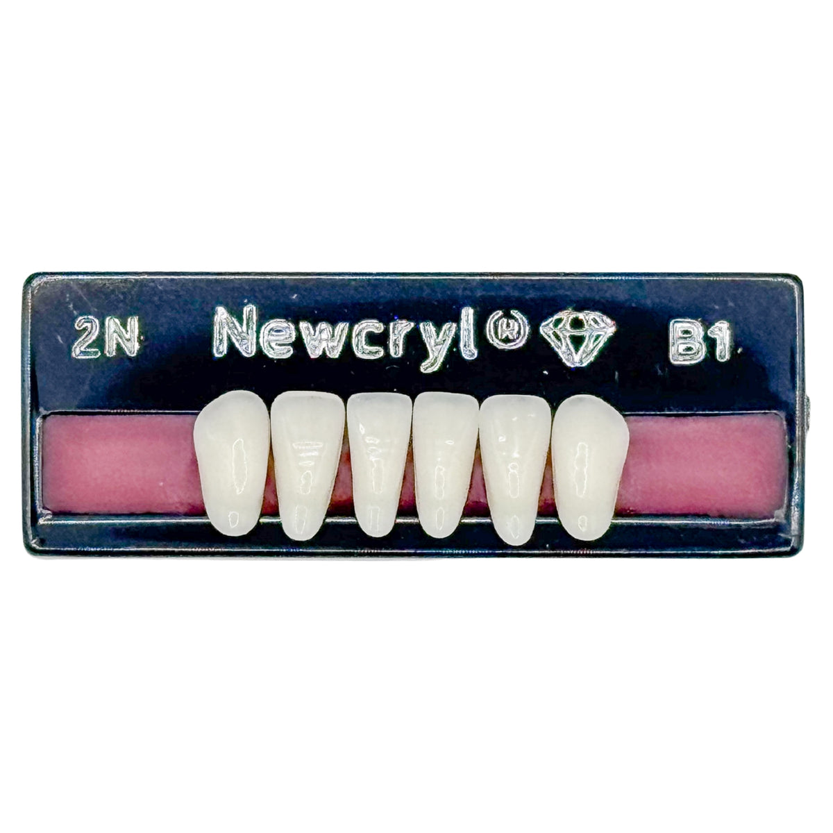 Dientes newcryl inferior anterior