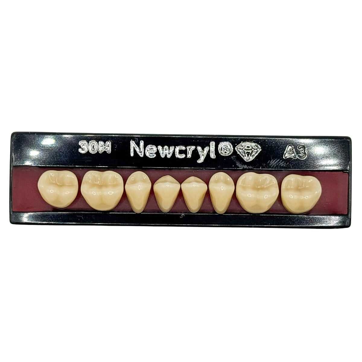 Dientes newcryl inferior posterior