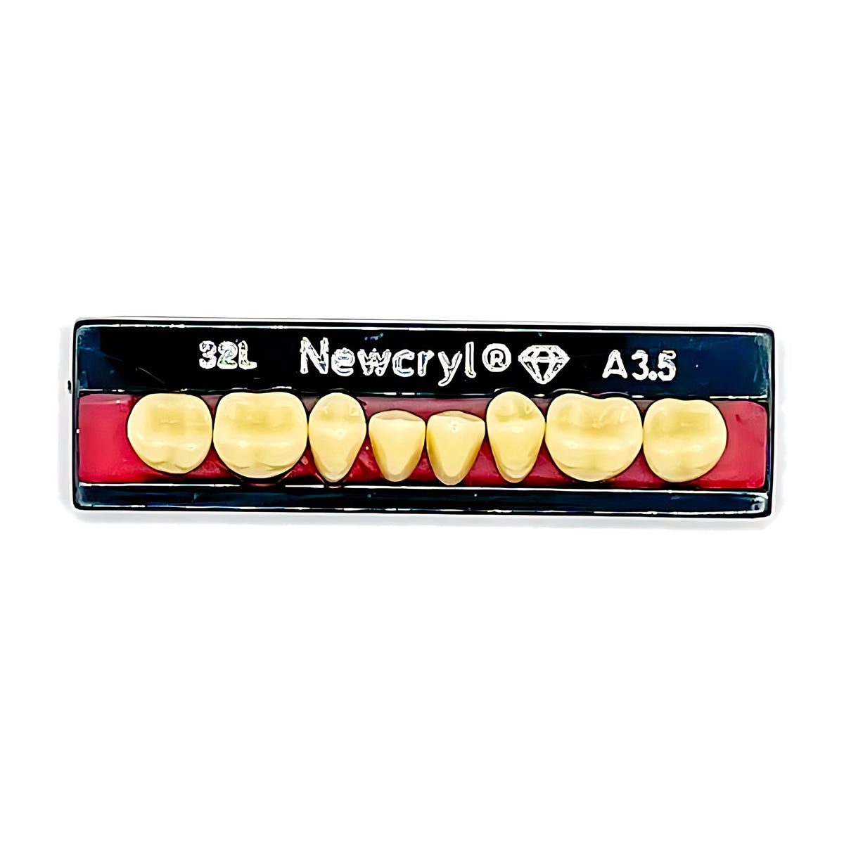 Dientes newcryl inferior posterior