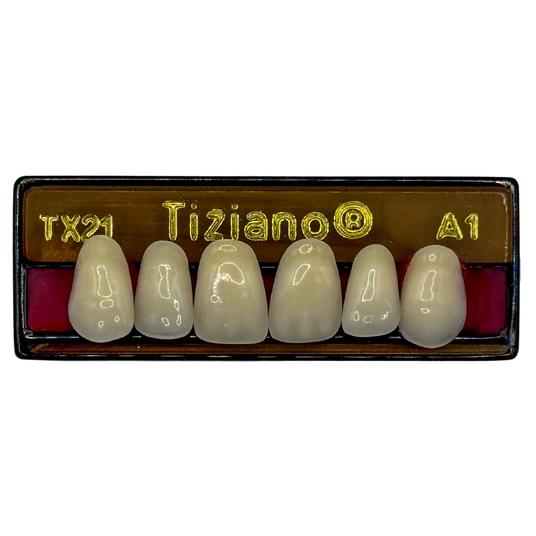 Dientes tiziano x 6 sa TX21 col A1