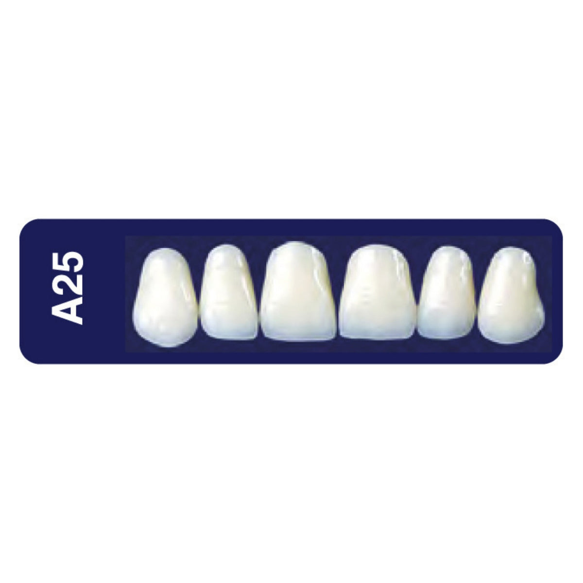 Diente new tek anterior superior — 150-A25-A3S
