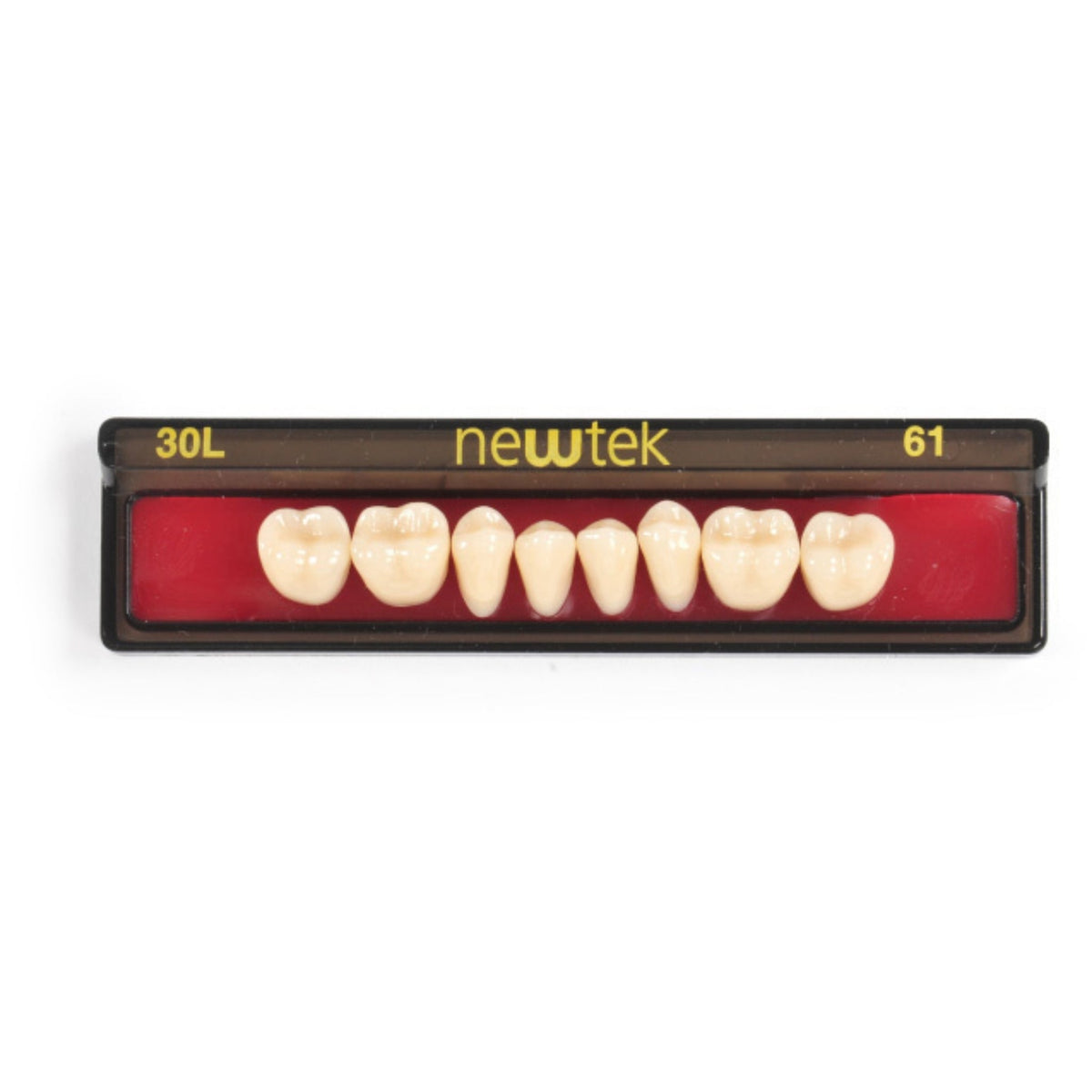 Diente new tek posterior inferior — 150-30L-62I