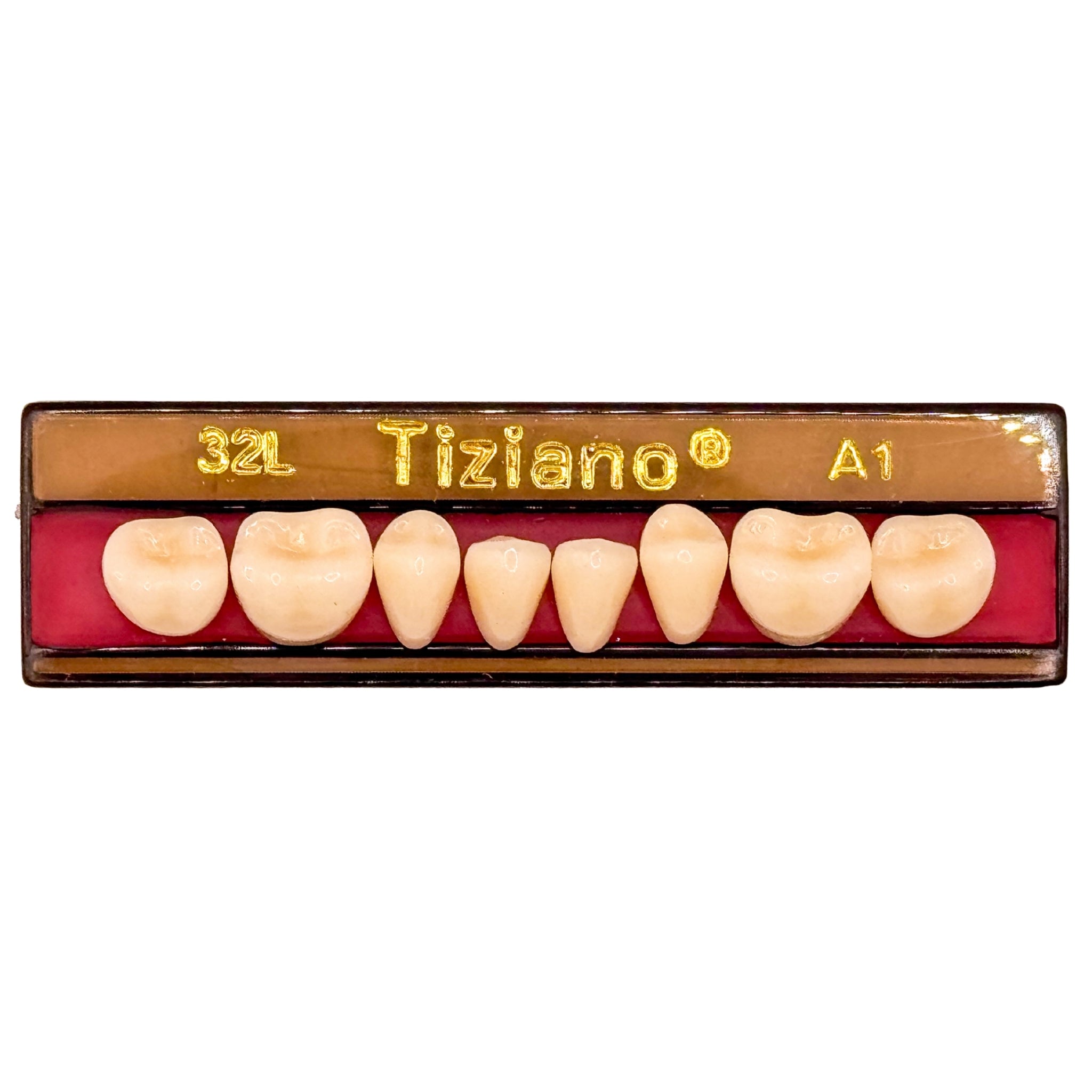Dientes tiziano x 8 ip 32L col A1