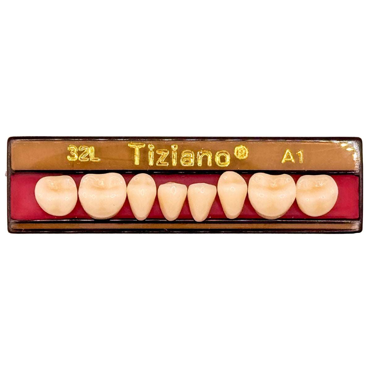 Dientes Tiziano inferior posterior
