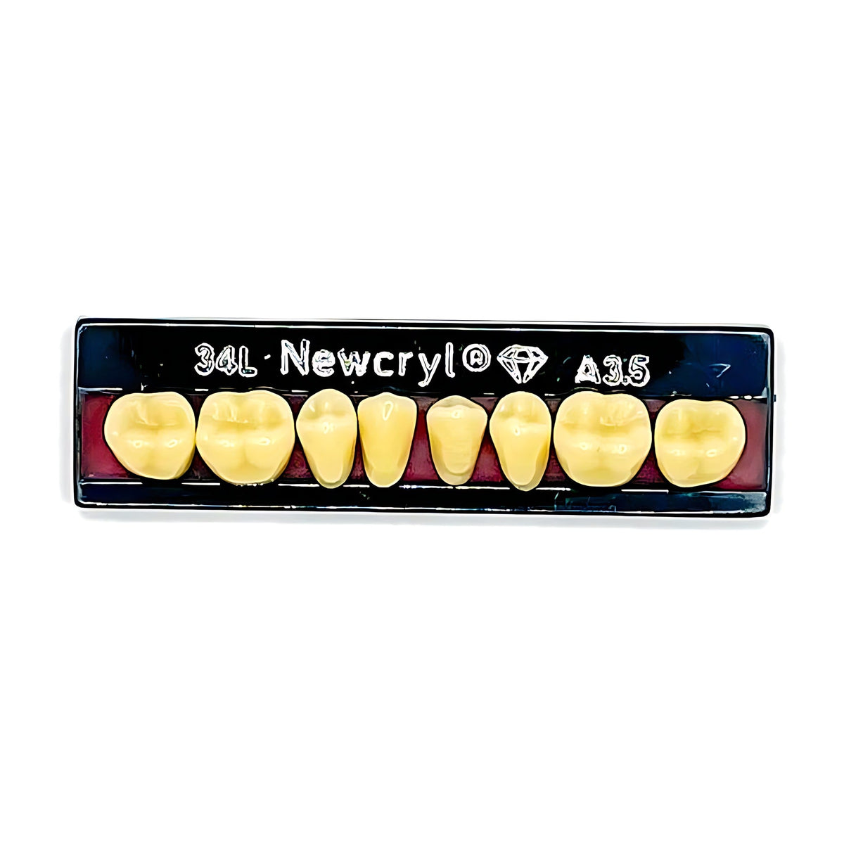 Dientes newcryl inferior posterior
