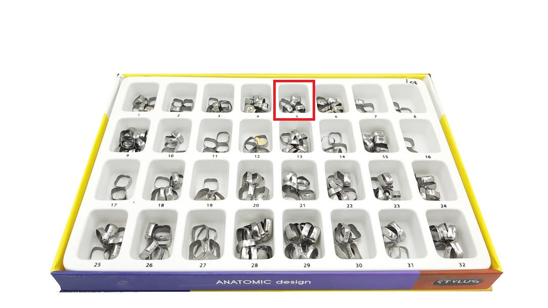 Banda anatomica 1 molar Borgatta Upper