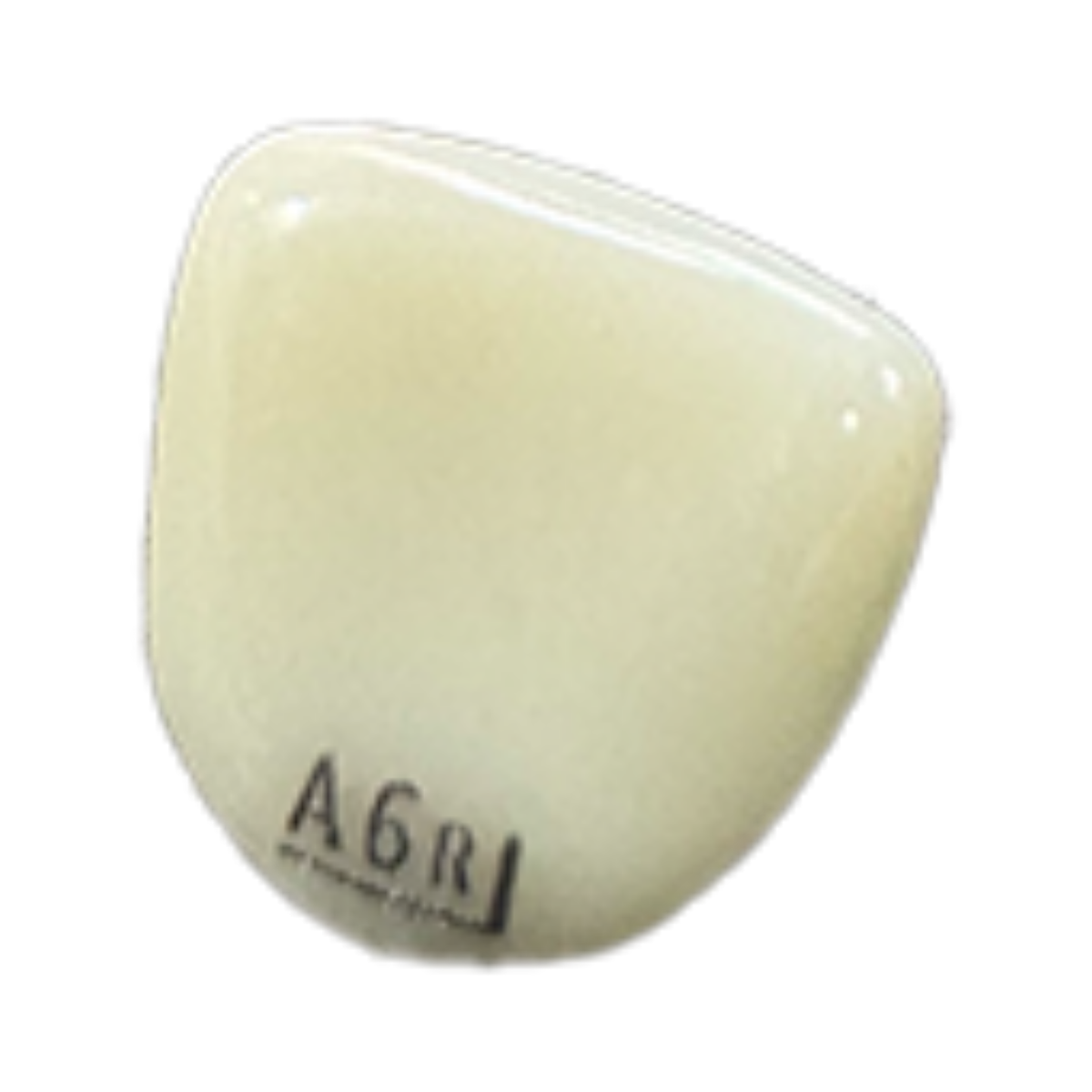 NuSmile A6R204L — 2955-VM