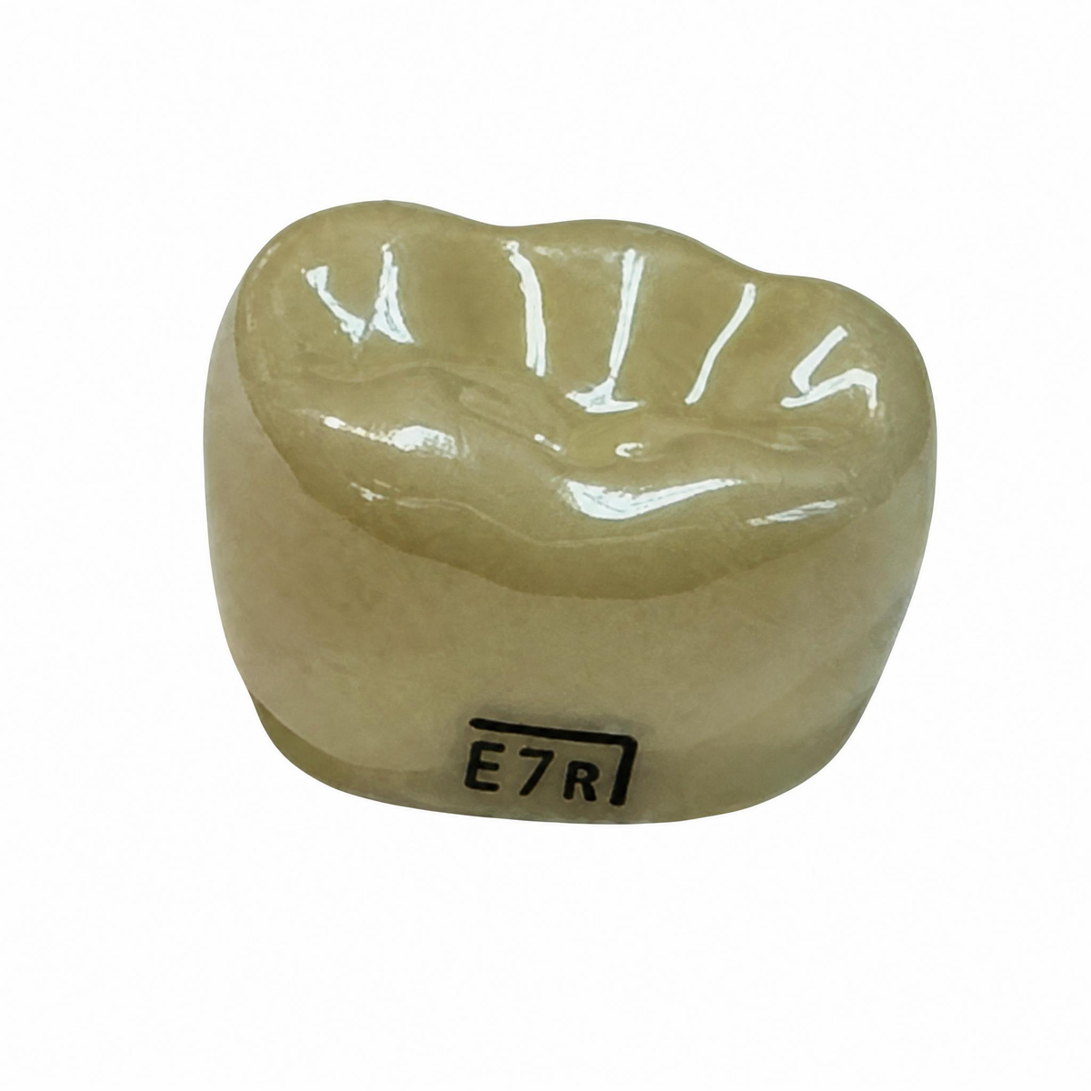 NuSmile ELR7206L — 3321-VM