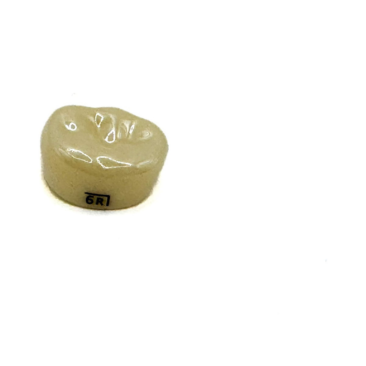 NuSmile Y6LR6250A2 — 3495-VM