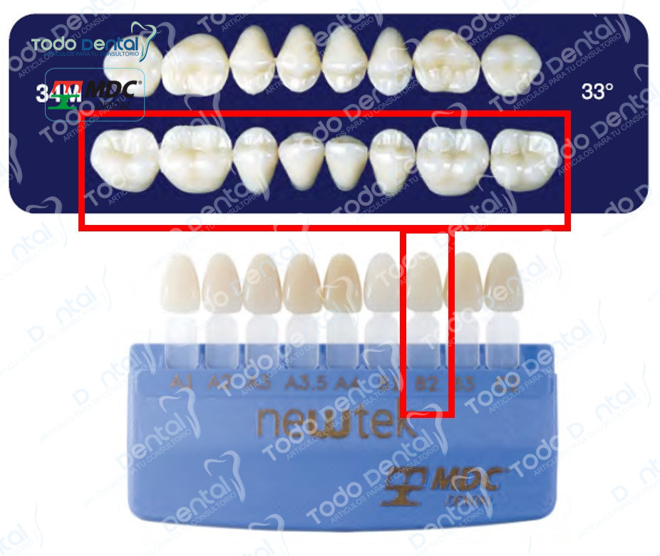 Diente new tek posterior inferior