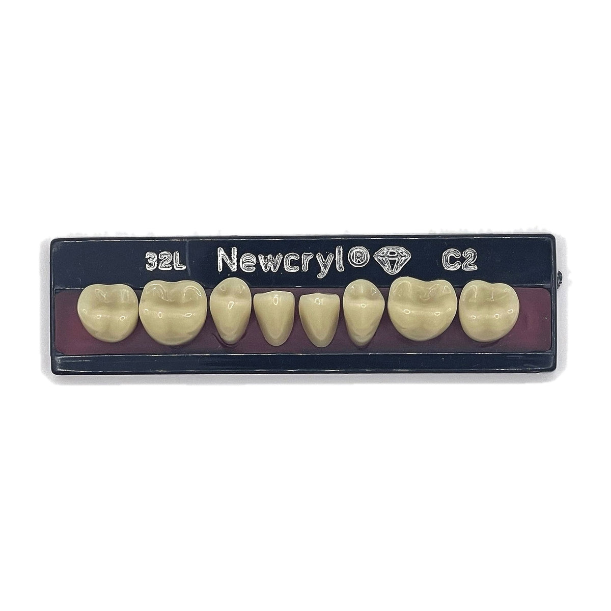Dientes newcryl x 8 ip 32l col c2