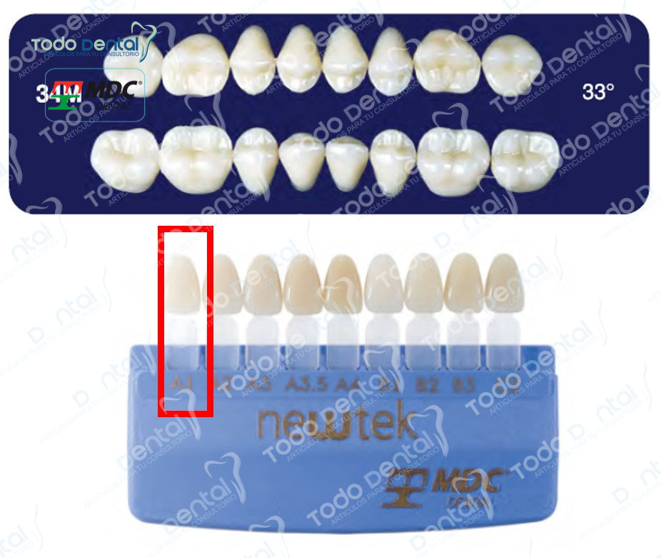 Diente new tek posterior inferior