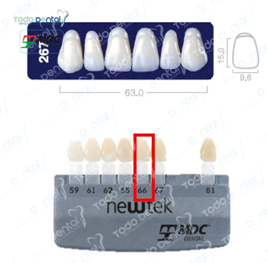 Diente new tek anterior superior