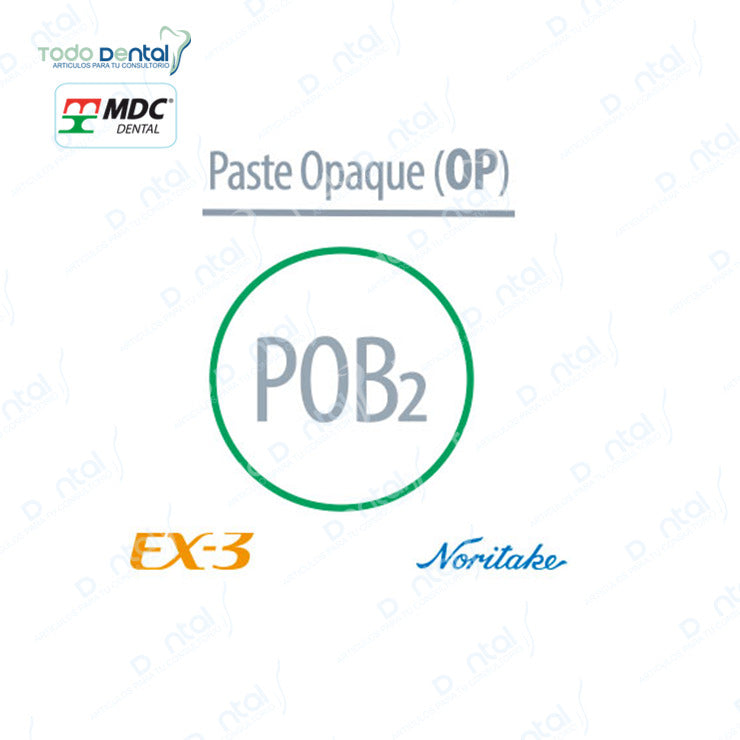Ex-3 Noritake(Paste opaque, margin)