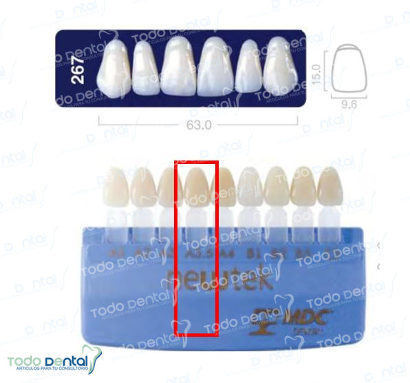 Diente new tek anterior superior