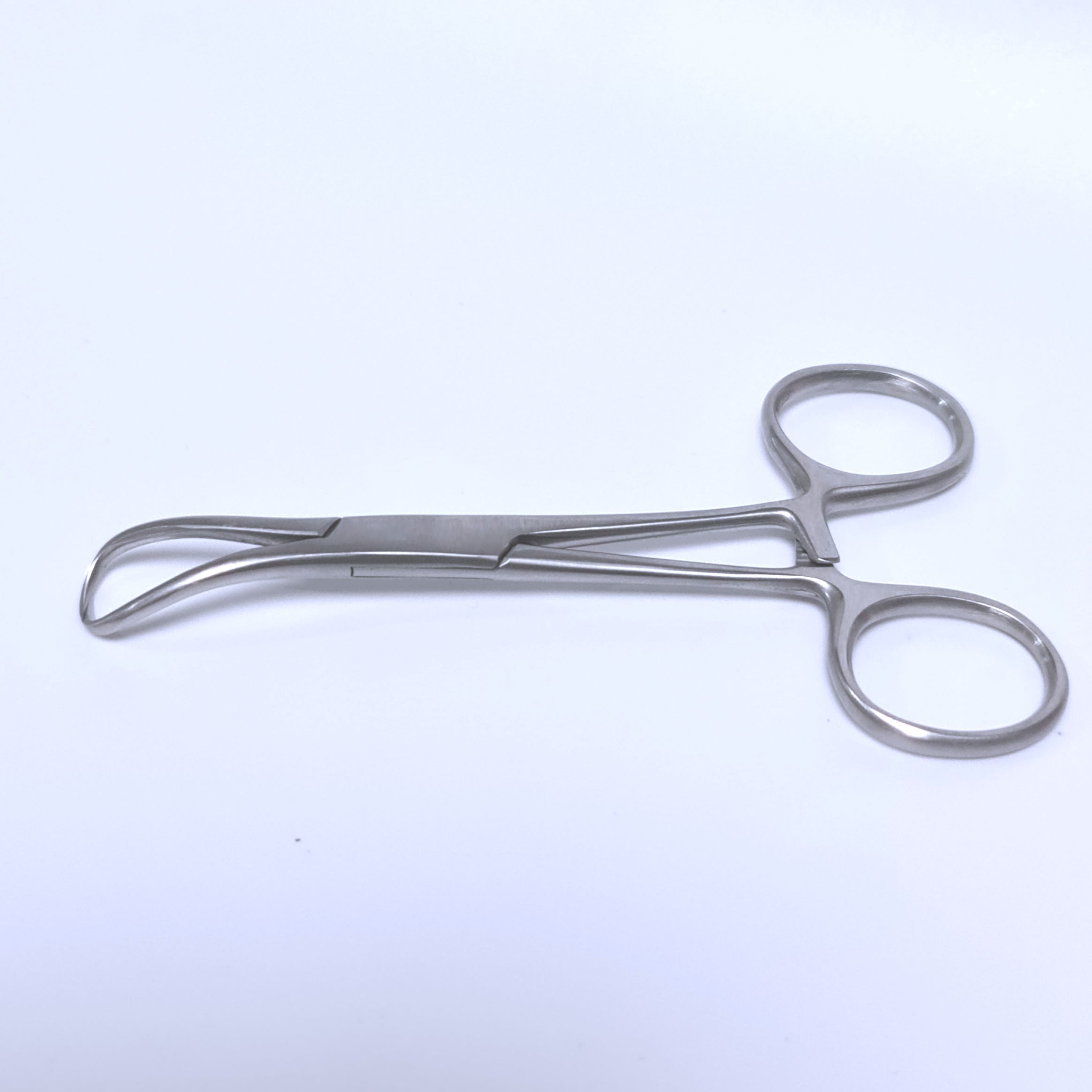 Pinza de campo normal (backhaus)