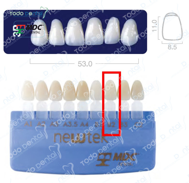 Diente new tek anterior superior
