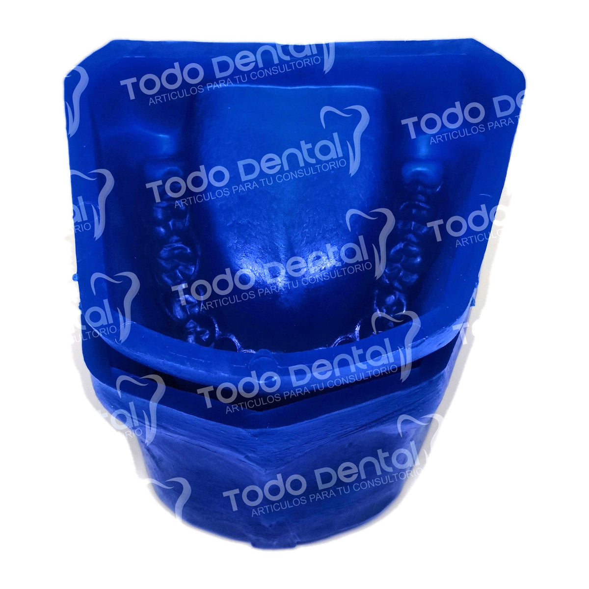 Moldes p/modelo yeso dentados
