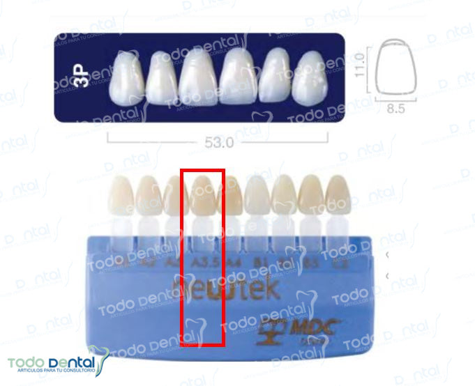 Diente new tek anterior superior