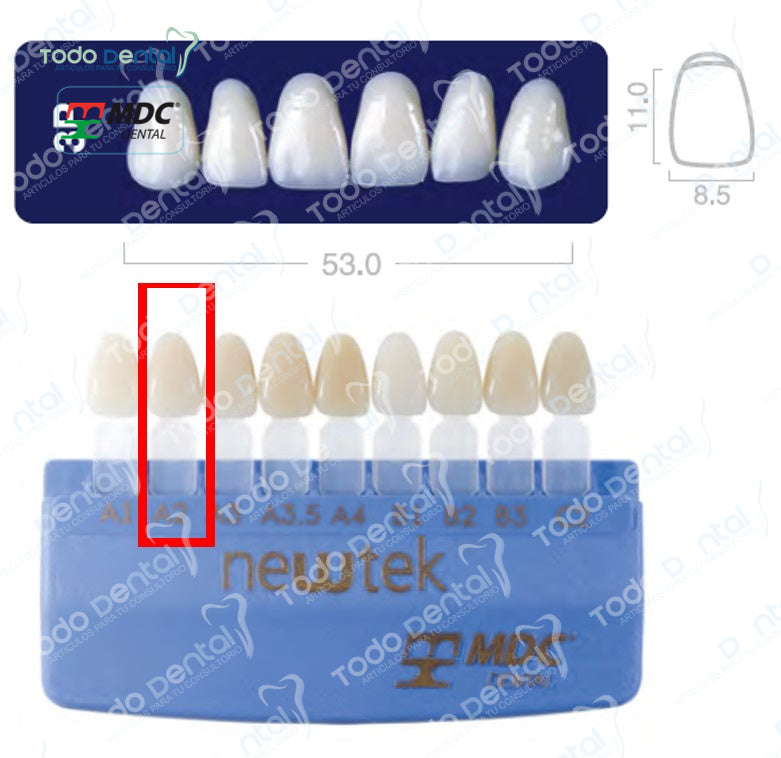Diente new tek anterior superior