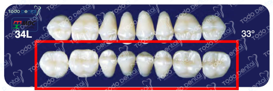 Diente new tek posterior inferior