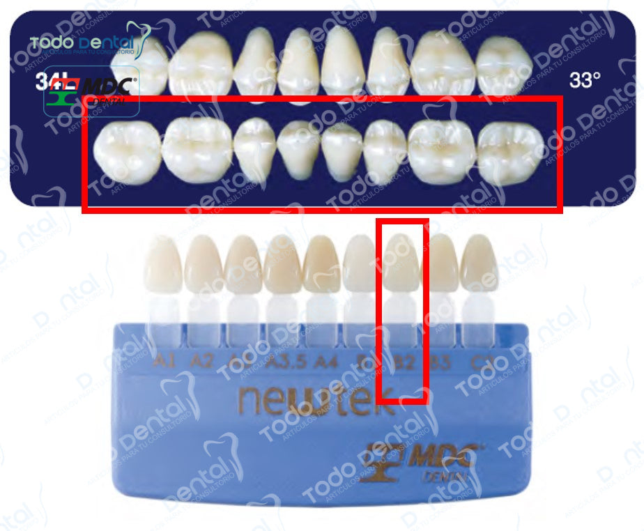 Diente new tek posterior inferior