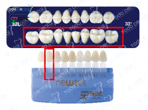Diente new tek posterior inferior