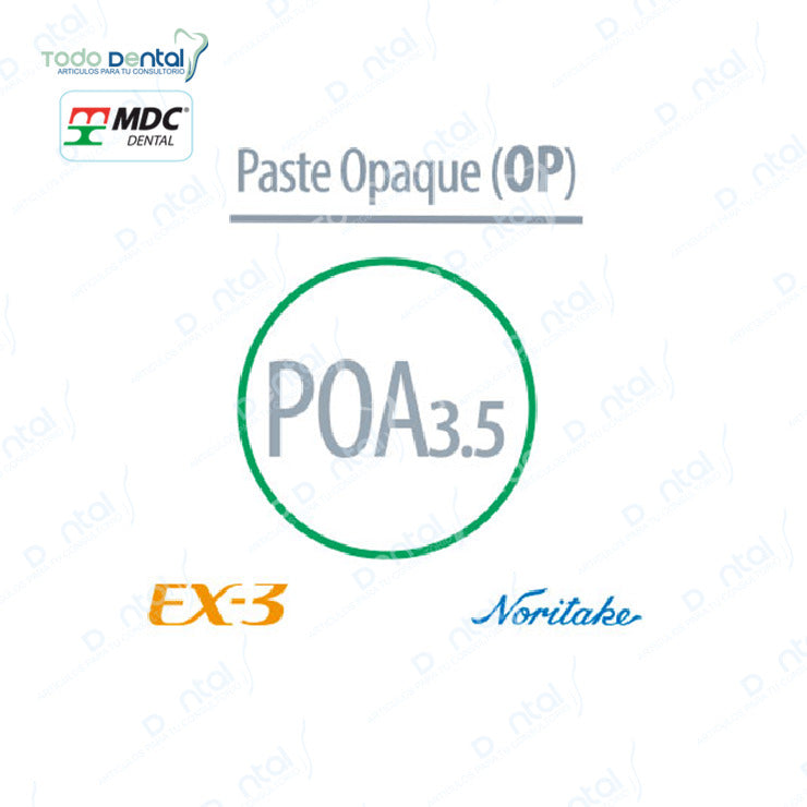 Ex-3 Noritake(Paste opaque, margin)