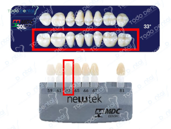 Diente new tek posterior inferior