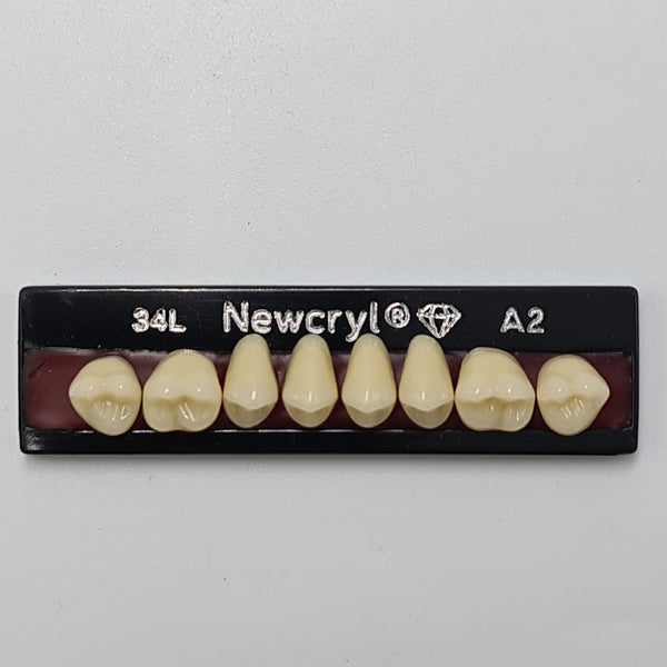 Dientes newcryl-vita x 8 sp 34l col a2